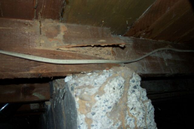 A termite infested beam found at a home inspection in Salt Lake City.