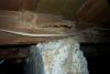 A termite infested beam found at a home inspection in Salt Lake City.